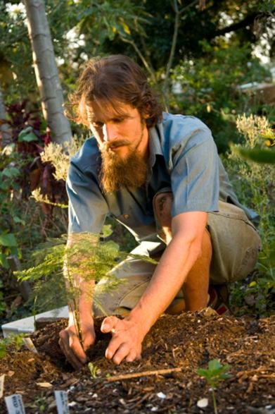 how_to_plant_a_tree_in_your_garden