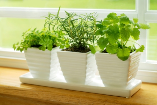 hands_free_indoor_gardening