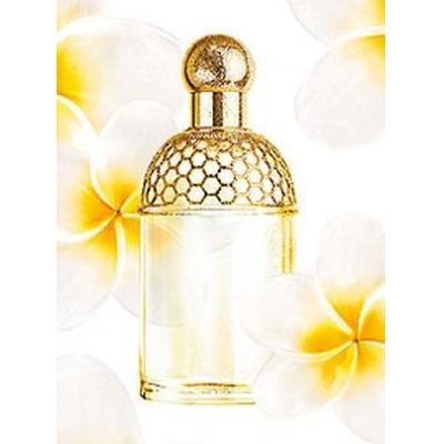 Aqua Allegoria Tiare Mimosa Perfume For Women By Guerlain EDT Spray 126ml