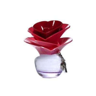Someday Perfume For Women By Justin Bieber EDP Spray 30ml