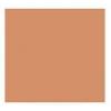 Polyvine Acrylic Enamel Paint Matt Flesh Colour 20ml RGE020FL