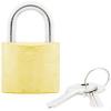Era High Security Padlock with Two Keys Brass 38mm 953-32 | Hardened Steel Shackle | Sturdy and Solid