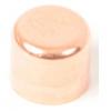 Vemco 15mm End Cap