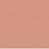 Polyvine Craft acrylic  paint Chocolate 6 colour 100ml