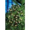 Premier 200 Bulbs Ultra-bright Christmas Multi-Action Clear Lights Set