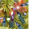 Premier Four Bulb Colored Fairy Lights Assorted LI024B