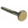 25mm Brass Polished Mirror Screws Pack of 25