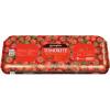 Levington Tomorite Giant Tomato Planter - 16424