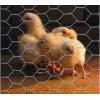 Netlon Gardening Galvanised 50mm Mesh Size Wire Netting Roll Bright Silver 1200mm x 10Mtr 17425