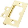 Brass Plated Flush Hinges 38mm - Pack of 24 Brass Plated Flush Hinges 38mm - Pack of 24