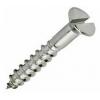 Countersunk Slotted Stainless Steel Woodscrews Metallic Silver 5mm x 25mm 5Pk 30465