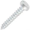 Zinc Plated Slotted Panhead Self-Tapping Screws 1 x 10 - Pack of 100