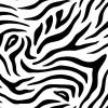 D-C-Fix Zebra Print Sticky Back Plastic Self Adhesive Vinyl Film Black and White 45cm x 2M F3460237