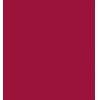 Polyvine acrylic enamel paint Crimson colour 50ml RGE050CR