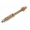 Fischer ZAM25 Zinc Plated Wallbolts - Pack of 2