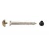 Bulk Hardware 30990 Brassed Dome Mirror Screws 40mm - Pack of 2 Bulk Hardware 30990 Brassed Dome Mirror Screws 40mm - Pack of 2