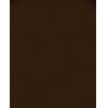 Dulux Weathershield Exterior Gloss Paint Conker 750ml 5090992