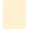 Dulux Jasmine Emulsion Paint White Matt - 2.5 Litre 5091724